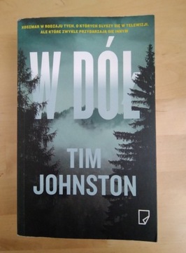Książka Tim Johnston W dół