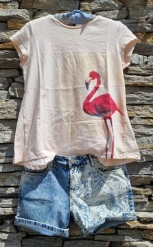 Zara pastelowy t-Shirt z flamingiem