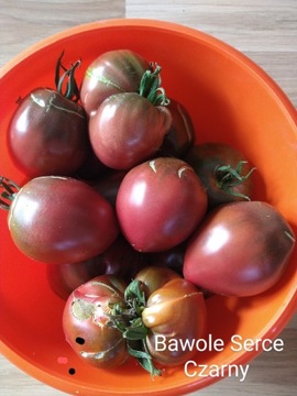 Pomidor Bawole Serce Czarny -Nasiona 