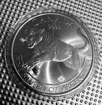 CANADA Tygrys 1oz 9999 Srebro moneta 2016 piękna