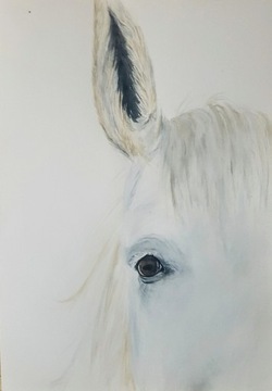 Obraz akwarela "Patrzę" koń