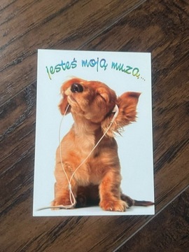 Pocztówka obrazek cute słodki pies dog