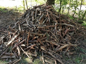 Drewno, gałęziówka, suche korzenie