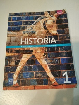 Podręcznik do historii Historia 1 WSiP 