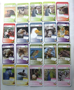 Kolekcja 20 kart Super Zwierzaki
