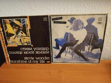 Płyty winylowe Tina Turner Steve Wonder - cena za obie