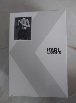 Karl Lagerfeld shorts