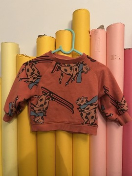 Bluza Zara kids rozmiar 68 cm