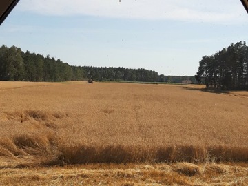 Ekologiczny nawóz wysiewany na zime żyto 10kg