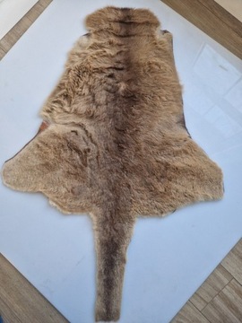 Oryginalna skóra kangura