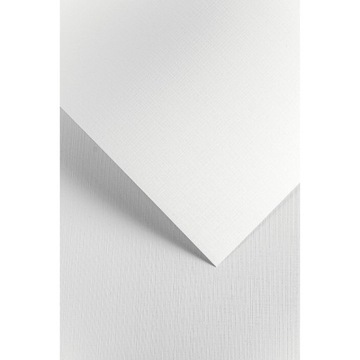 Papier ozdobny Galeria Kratka biały 230g/m2