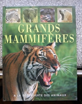 GRANDS MAMMIFERES A LA DECOUVERTE DES ANIMAUX