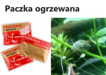 Rozdętki 10 szt (ekipa sprzątająca lub żywy pokarm