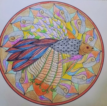 Kolorowanka Mandala 
