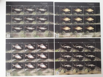 Ark. 4711 - 4714 Ryby zagrożone wyginięciem  2016