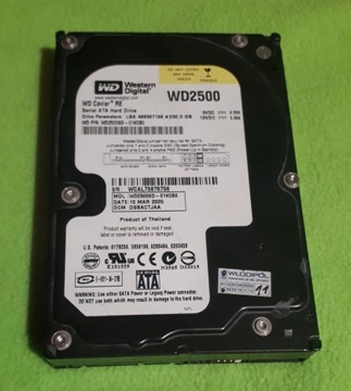 Dysk HDD WD WD2500SD 250GB 3,5 cala SATA