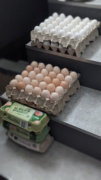 Jaja jajka wiejskie - wysyłka 40 sztuk
