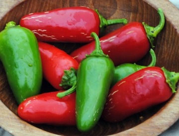 Zestaw do uprawy papryki chili - papryki jalapeno