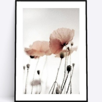 A3 Plakat maki kwiaty polne pastelowy kwiatowy