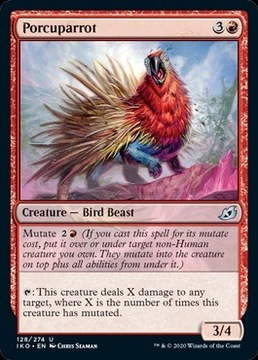 Porcuparrot MTG 