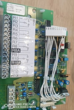 Płyta Skov Big Dutchman pcb dol34h-1 in/out modul 