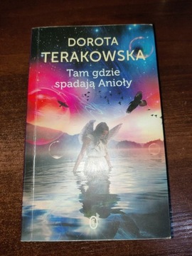 Dorota Terakowska - Tam gdzie spadają Anioły