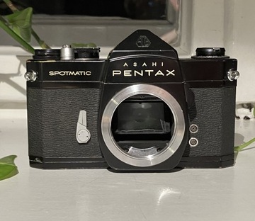 Pentax Spotmatic SP czarny M42 testowany z filmem