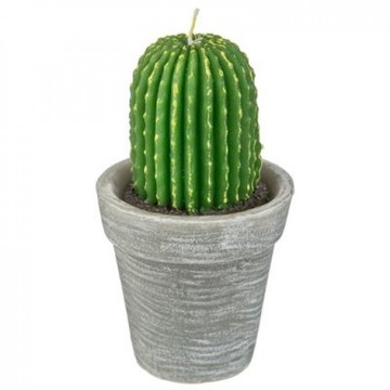 Świeca Kaktus