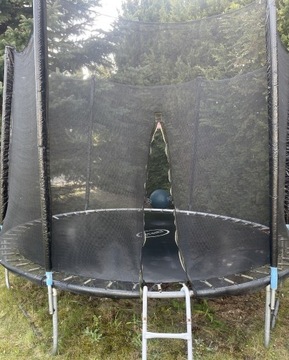 Trampolina Ogrodowa 252cm Z Siatką + Drabinka Fit-Net