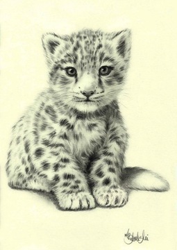 Rysunek ołówkiem -Mały leopard śnieżny- Ksero A4