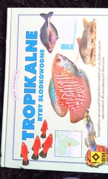 Tropikalne ryby słodkowodne - Gina Sandford
