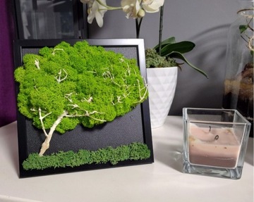 Obraz mech chrobotek z mini drzewem 20x20 cm