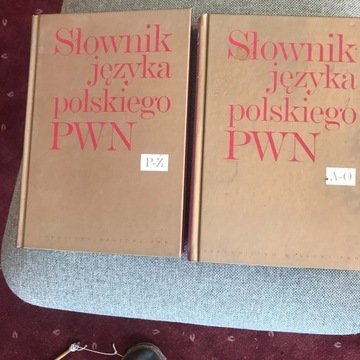 Słownik języka polskiego PWN t. 1-2 L.Drabik inni