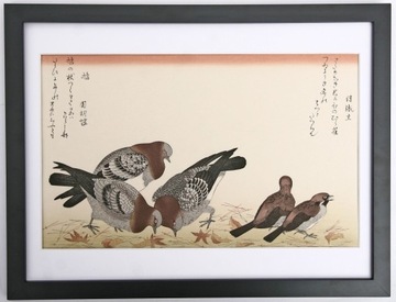 Gołębie - piękny  oryginalny drzeworyt japoński 