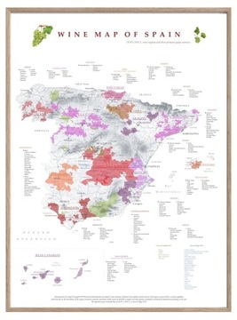 Wino Hiszpania regiony winiarskie 40x50cm
