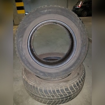 Opony 2x Nokian WR SUV3 215/65 R16 102H XL