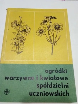 Ogródki warzywne i kwiatowe spółdzielni 1964r
