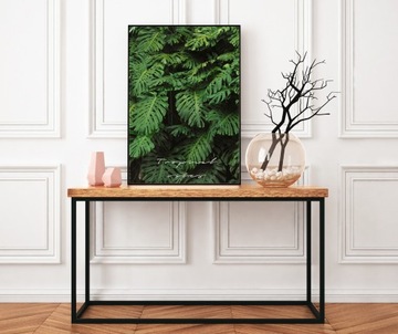 Plakat B2 50x70 tropical liście tropikalne  TC7