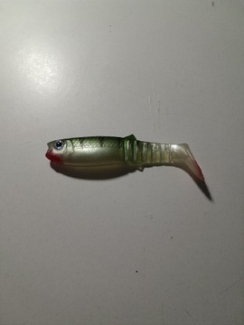 Przynęta gumowa soft bait-canibal 8cm