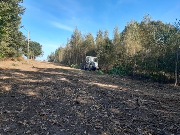 Mulczer, karczowanie działek, mulczowanie Bielsko