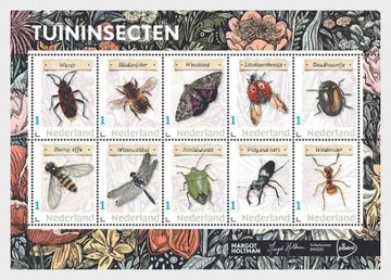 NIEDERLANDY - fauna insekty arkusik 2024**