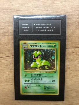 Karta Pokemon Victreebel PSA 8 PKMgrade