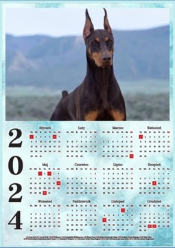 Kalendarz plakatowy A3 2024 PSY