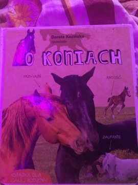 Ksiazka o koniach