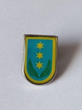 Herb miasta i gmina Czarna Woda przypinka pin