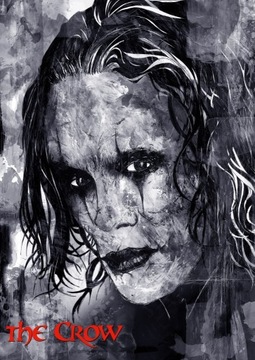 the crow - obraz 70x100 cm 