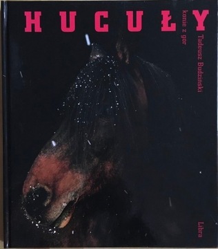 Tadeusz Budziński, Hucuły. Konie z gór (koń)