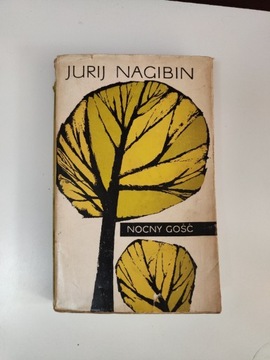 Nocny gość - Jurij Nagibin x