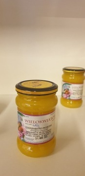 Miód Wielokwiatowy Wiosenny 410g 