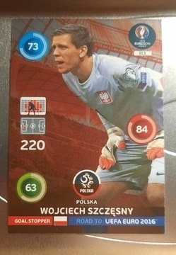 Wojciech Szczęsny-Road to UEFA Euro 2016
